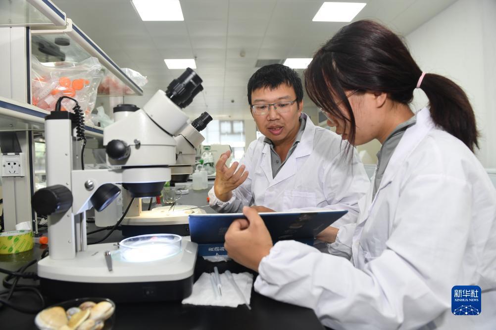 乐游棋牌官网最新